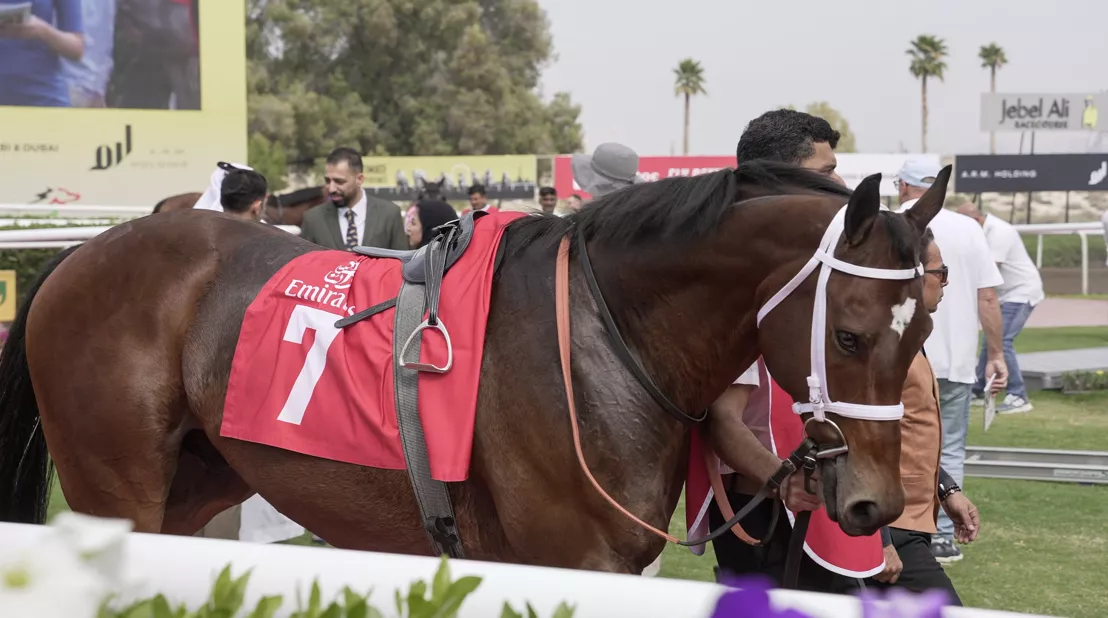Jabel Ali Race Course Info Input Solutions